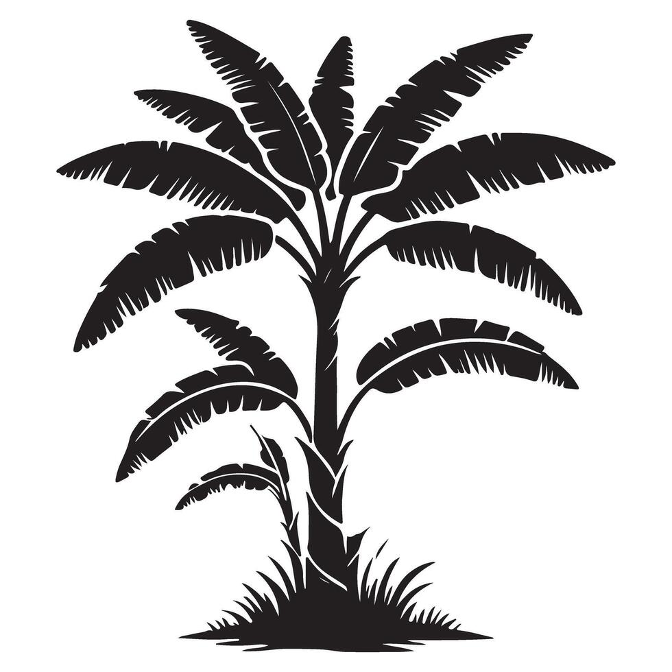 Simple Banana Tree Silhouette Illustration Tropical Environment vector