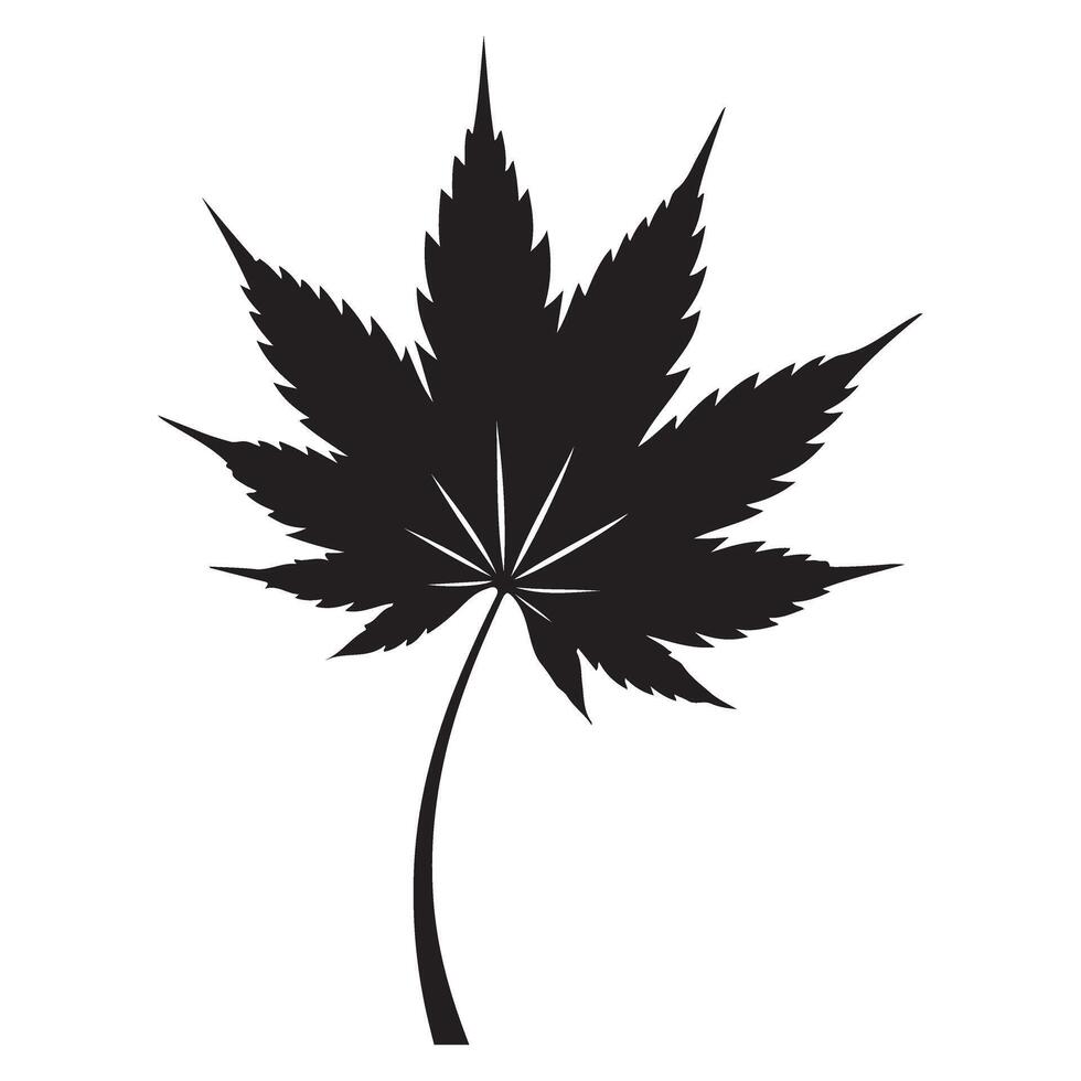 Maple leaf illustration Autumn season symbol and design element vector
