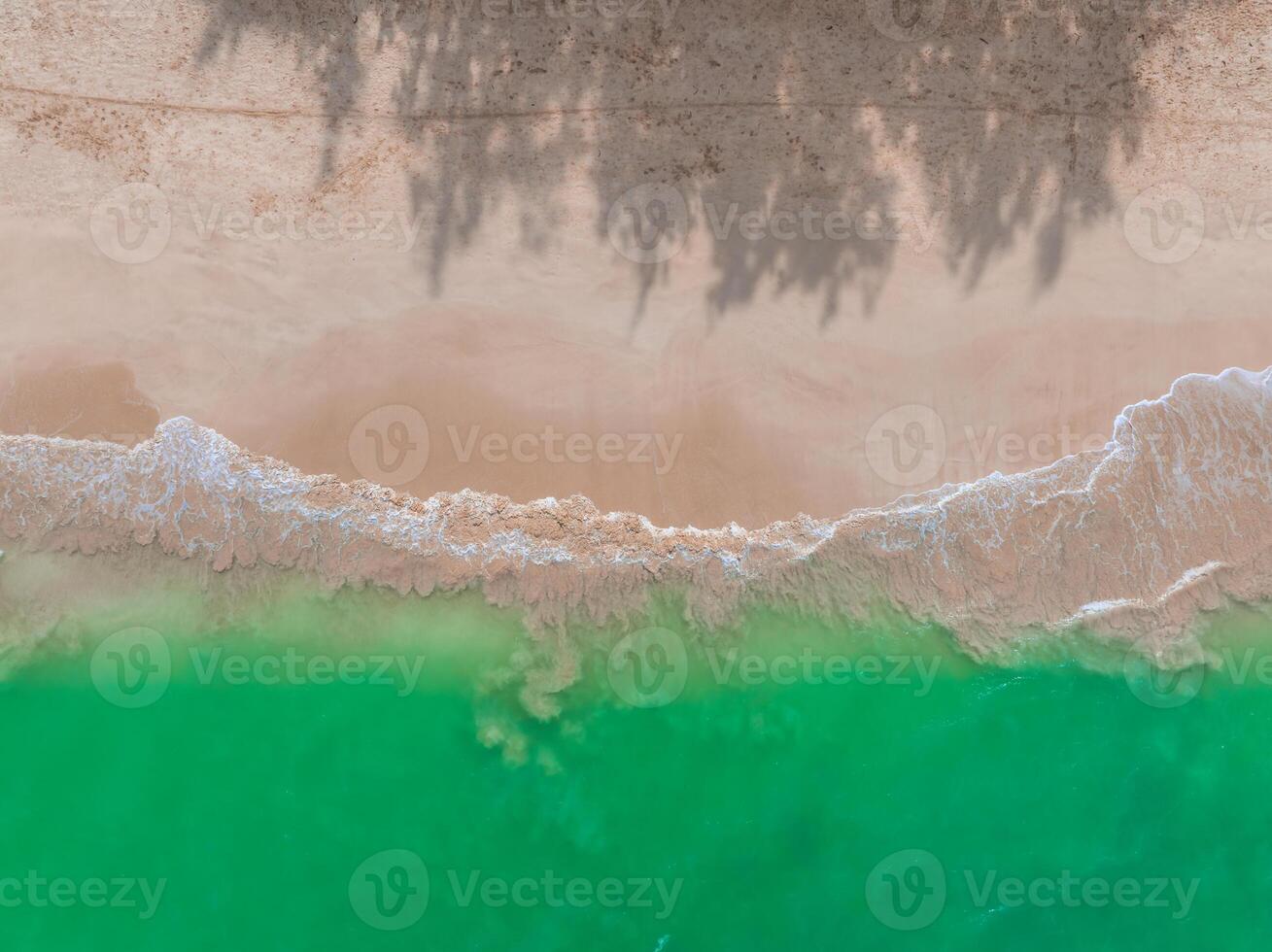 Aerial perspective of a tranquil beach on Oahu Island, Hawaii, featuring green ocean waters, sandy shoreline, gentle waves, and tree shadows on the sand. photo