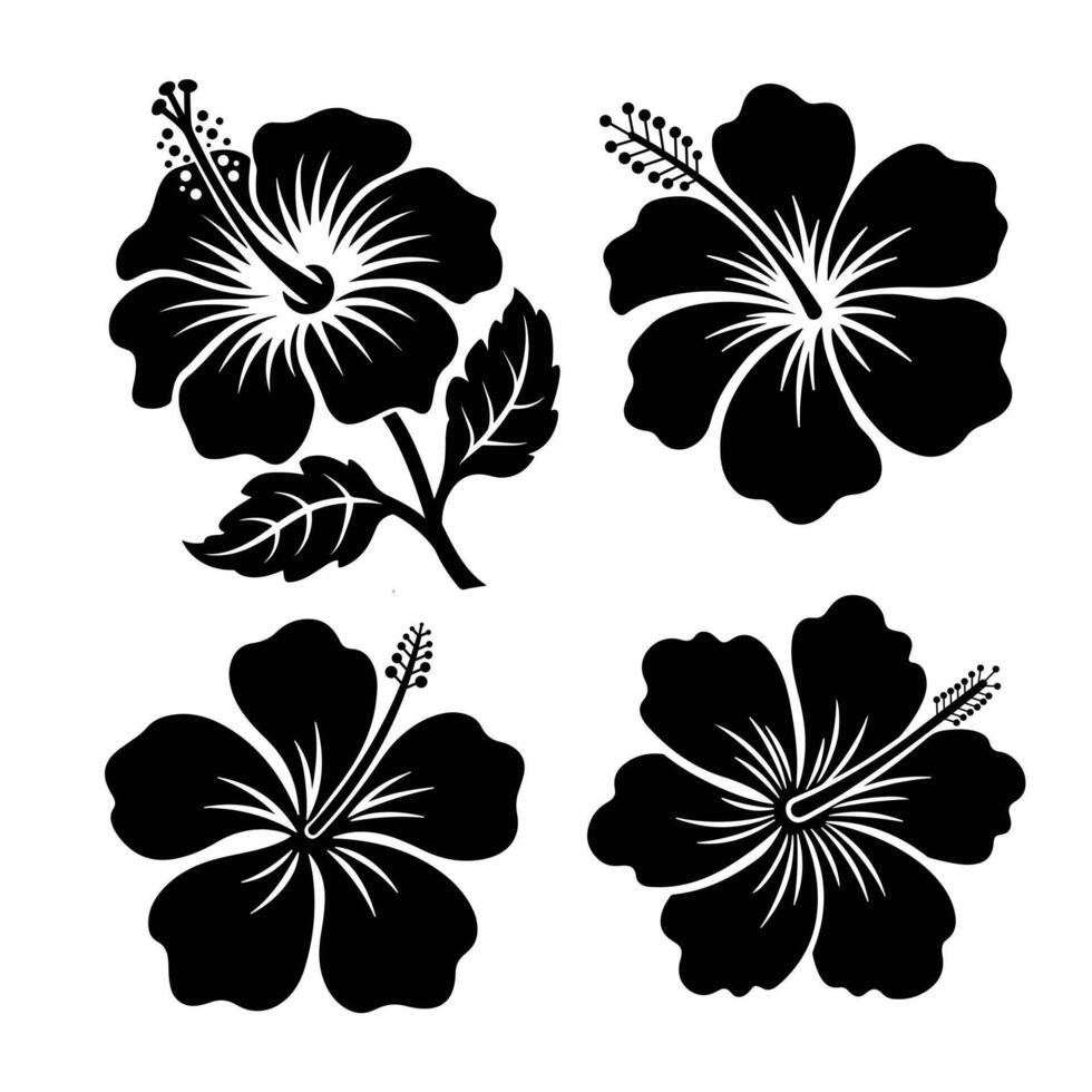 Hibiscus Flower Silhouette Bundle vector