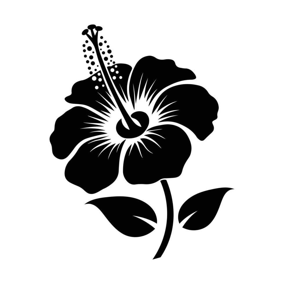 Hibiscus Flower illlustrator vector