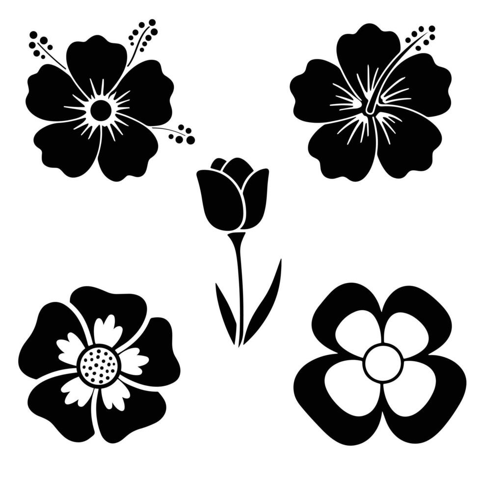 black and white flowers set, illustration vector
