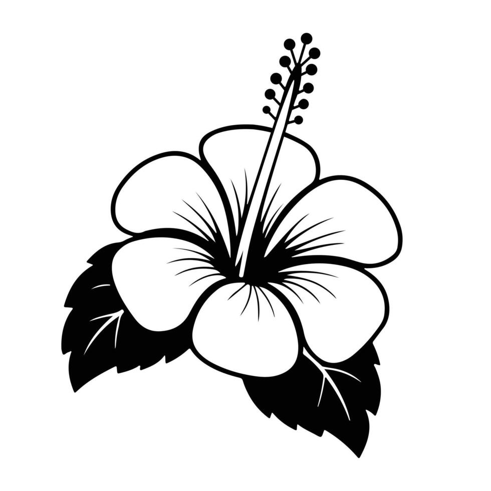 Hibiscus Flower Silhouette Line Art vector