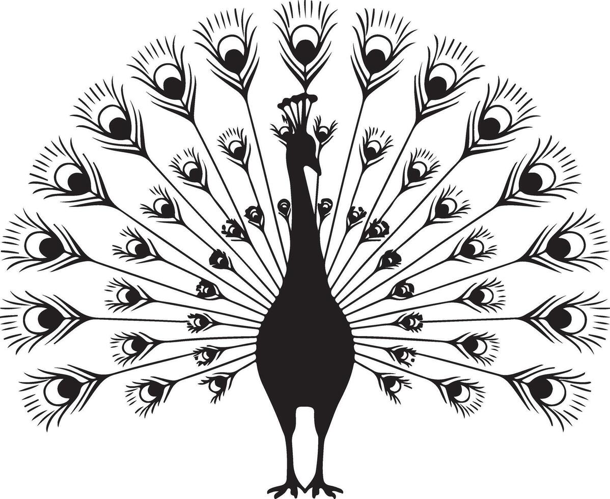 illustration of a black silhouette of a peacock displaying its feathers against a white background vector