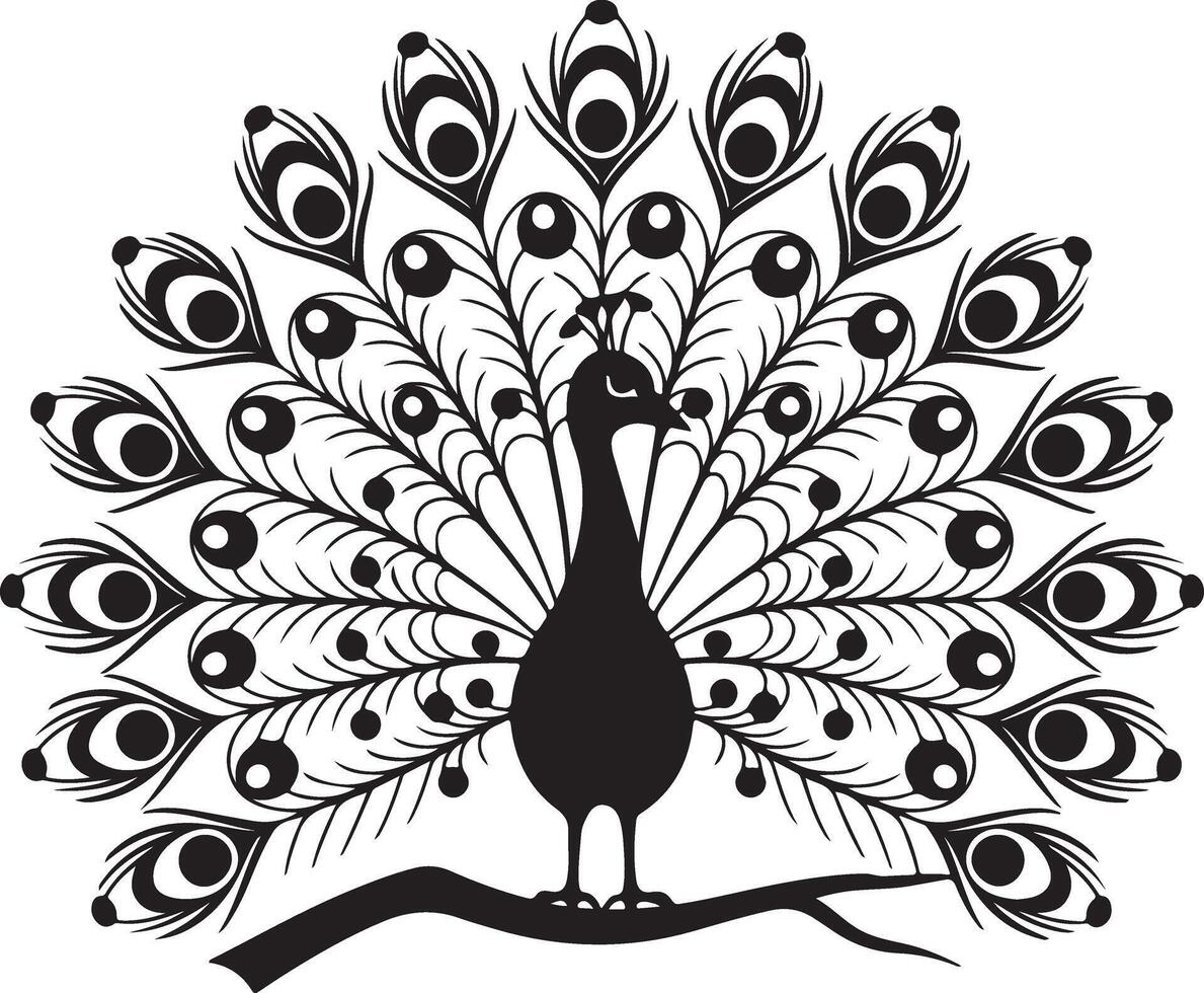 peacock displaying its feathers against a white background vector
