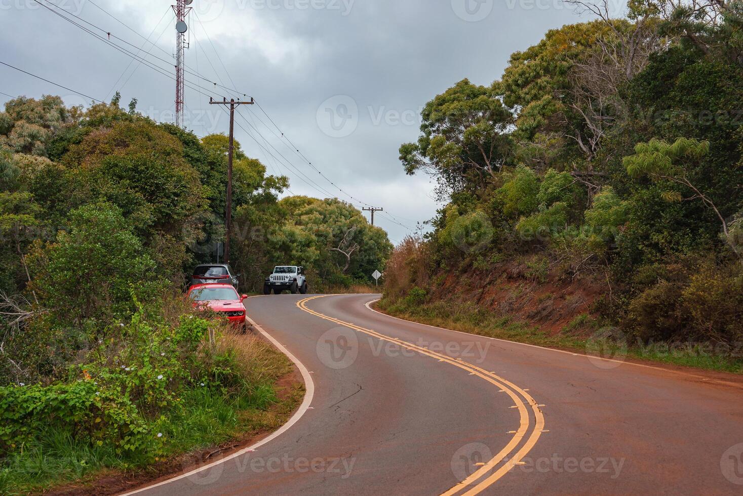 A winding road with reddish volcanic soil, surrounded by dense tropical greenery, utility poles, parked vehicles, and an overcast sky in Hawaii. photo