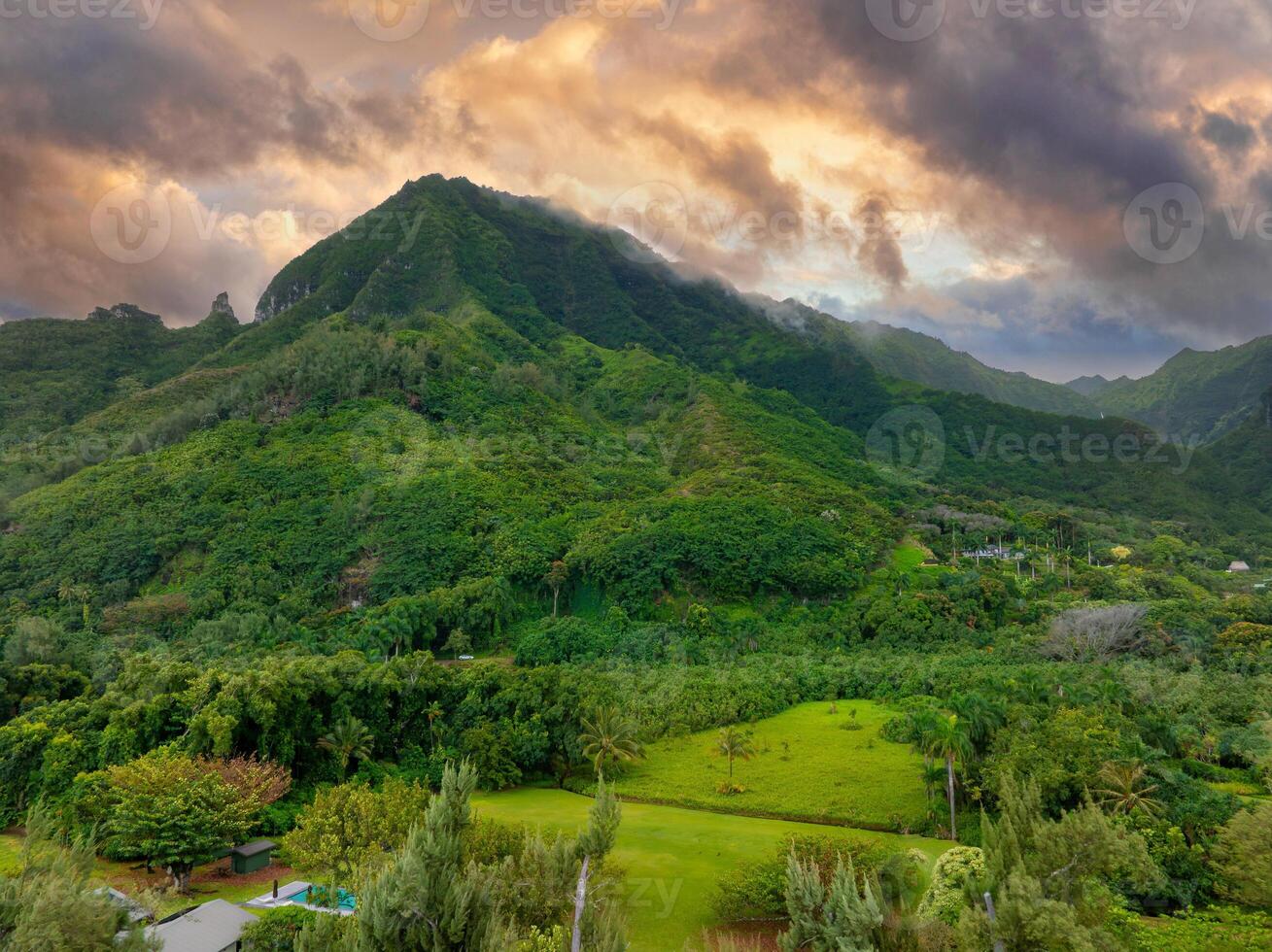 Lush green mountains with dense vegetation, open grassy areas, and tropical trees framed by Napali cliffs under a dramatic golden and gray sky. photo
