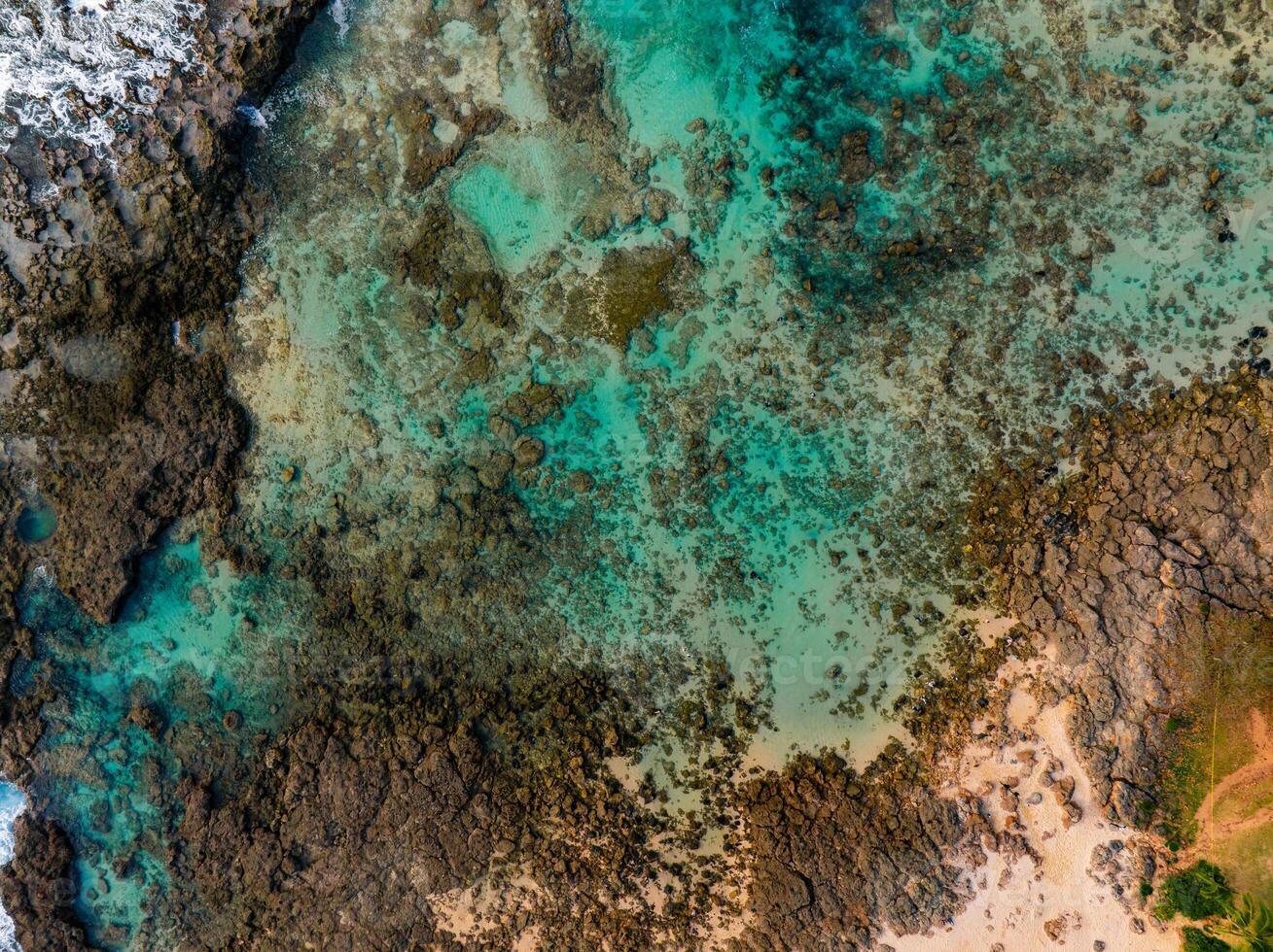 Aerial image of Oahu island's coastline with turquoise waters, visible coral and rock formations, sandy beach, rugged terrain, and greenery. photo