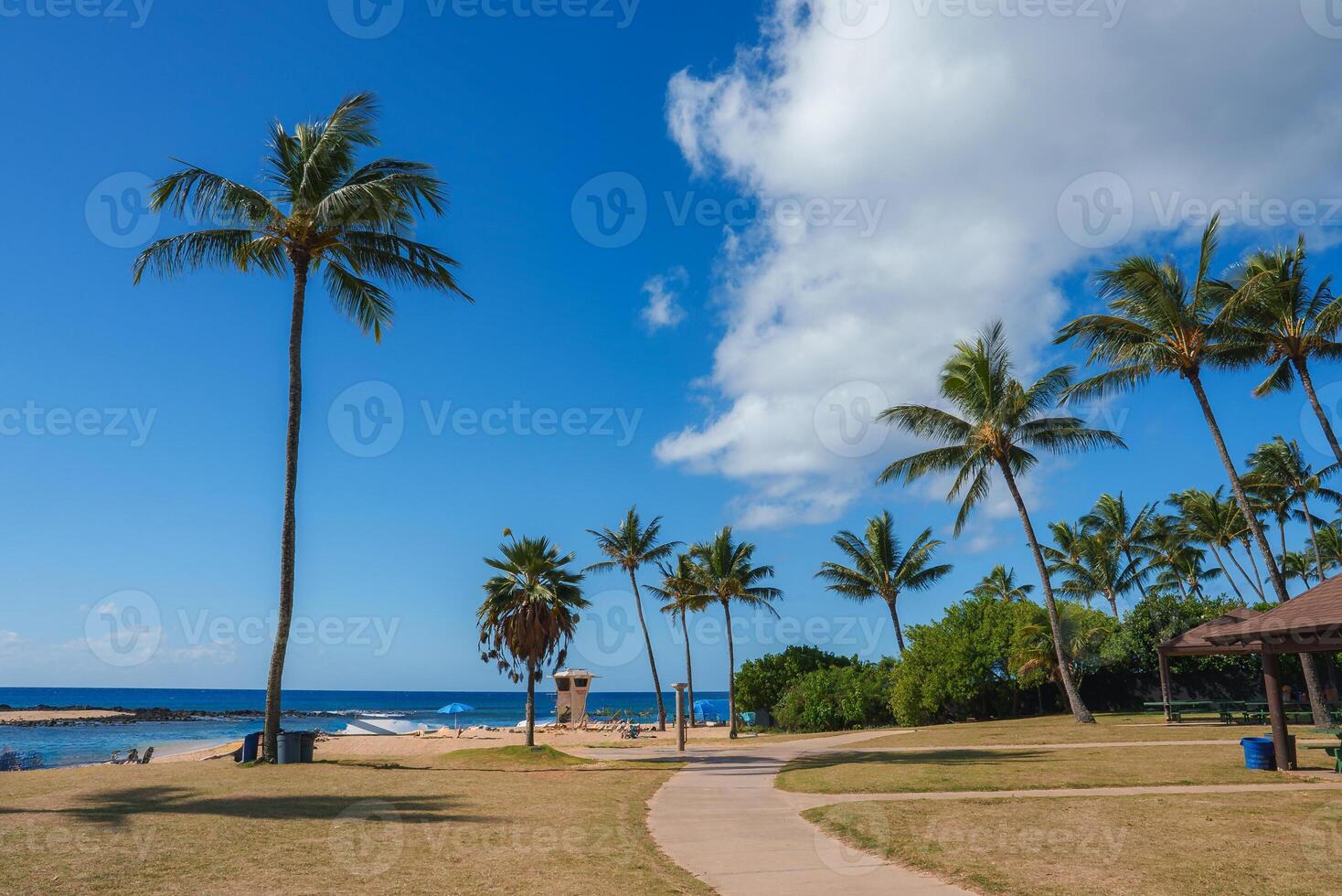 A tropical beach with tall palm trees, a paved walkway, a lifeguard tower, calm blue water, grassy patches, and a pavilion under a partly cloudy sky. photo