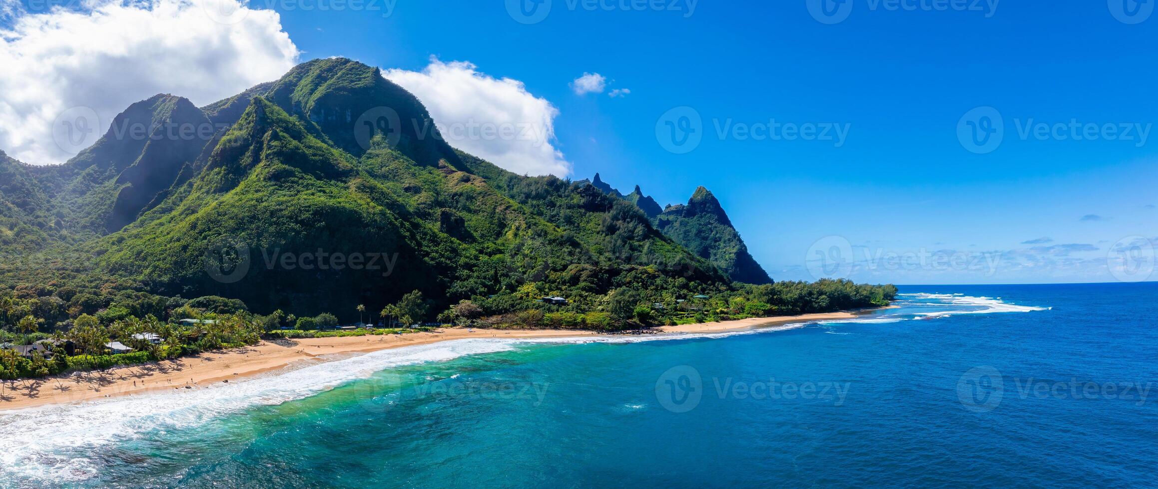 Aerial view of Kauai Island, Hawaii, showing golden beaches, turquoise waters, and lush Napali cliffs under a clear blue sky with scattered vegetation. photo