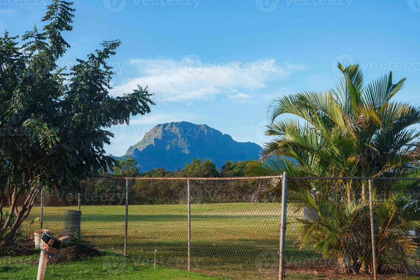 A rugged mountain of the Napali cliffs on Kauai island framed by palm trees and greenery. A chain link fence encloses a grassy area in the foreground. photo