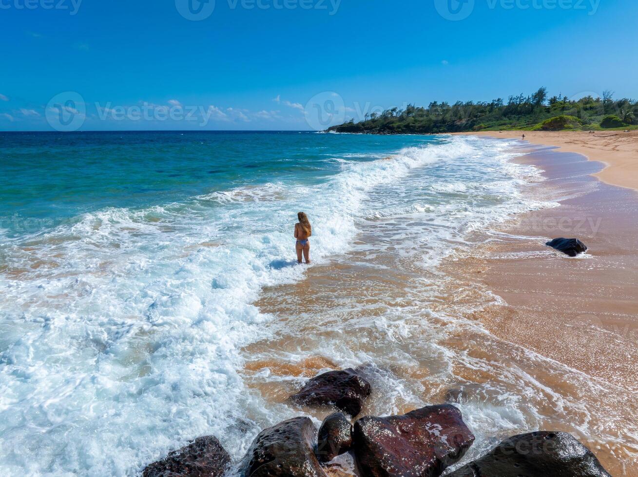 A tranquil beach on Kauai island features golden sand, turquoise waves, lush greenery, dark rocks in the foreground, and a person in shallow water. photo