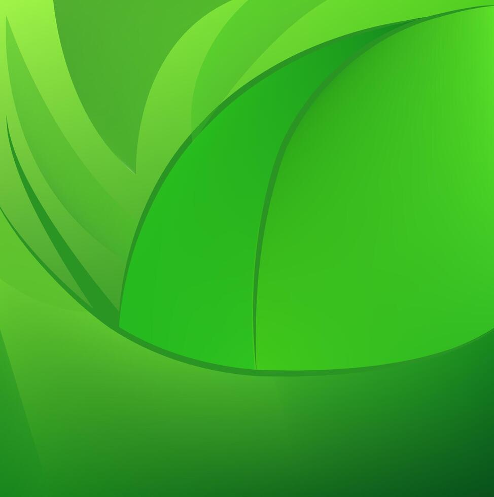 Abstract green gradient color curve lines background. Wallpaper design vector