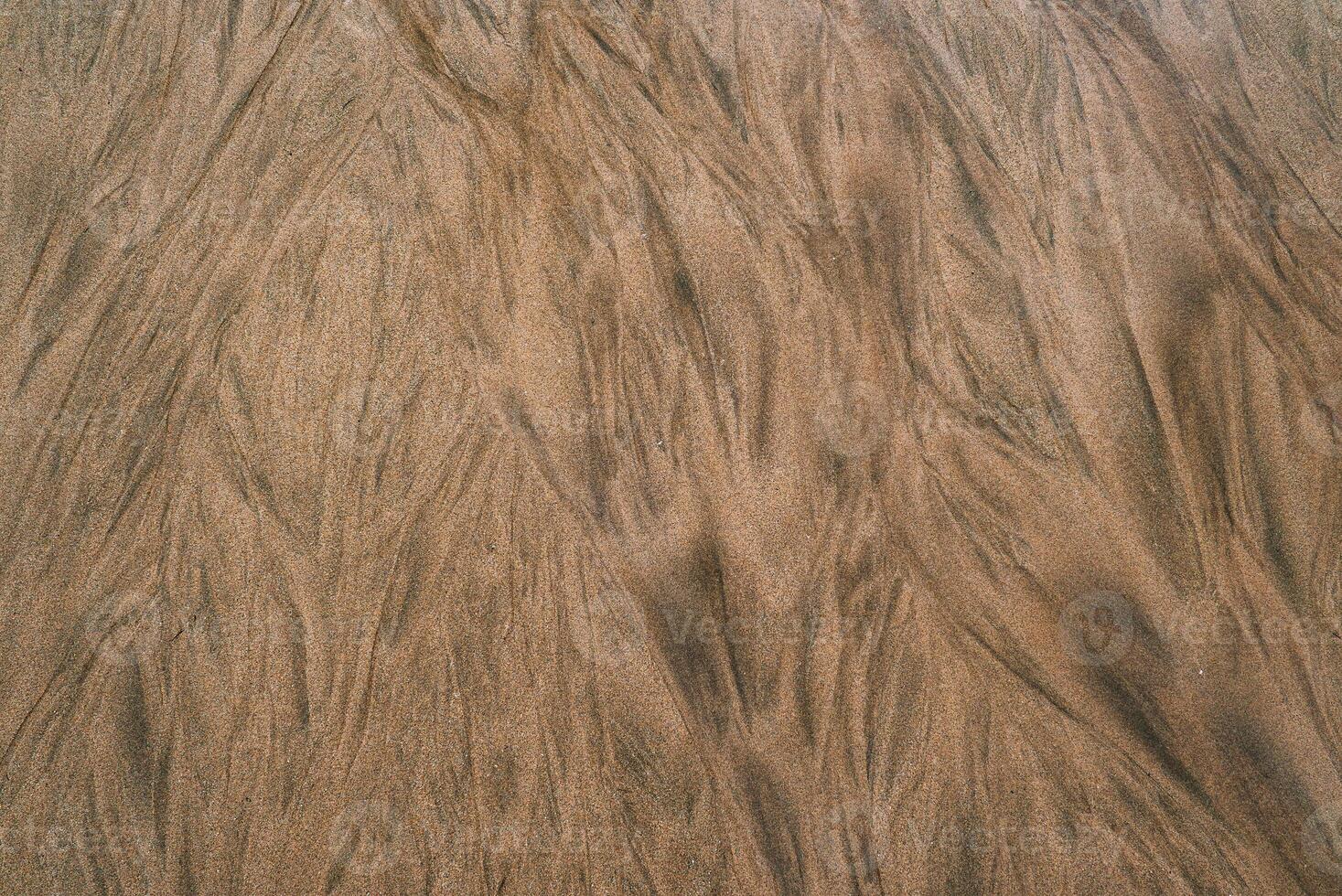 Golden brown sand displays intricate, vein like patterns created by water flow, forming an abstract and textured natural design. photo