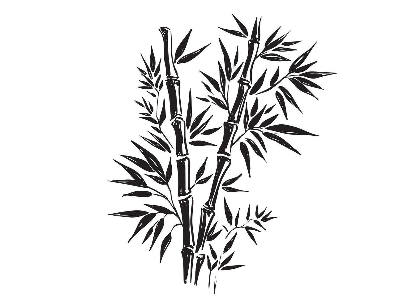 Bamboo tree, Hand drawn style. vector