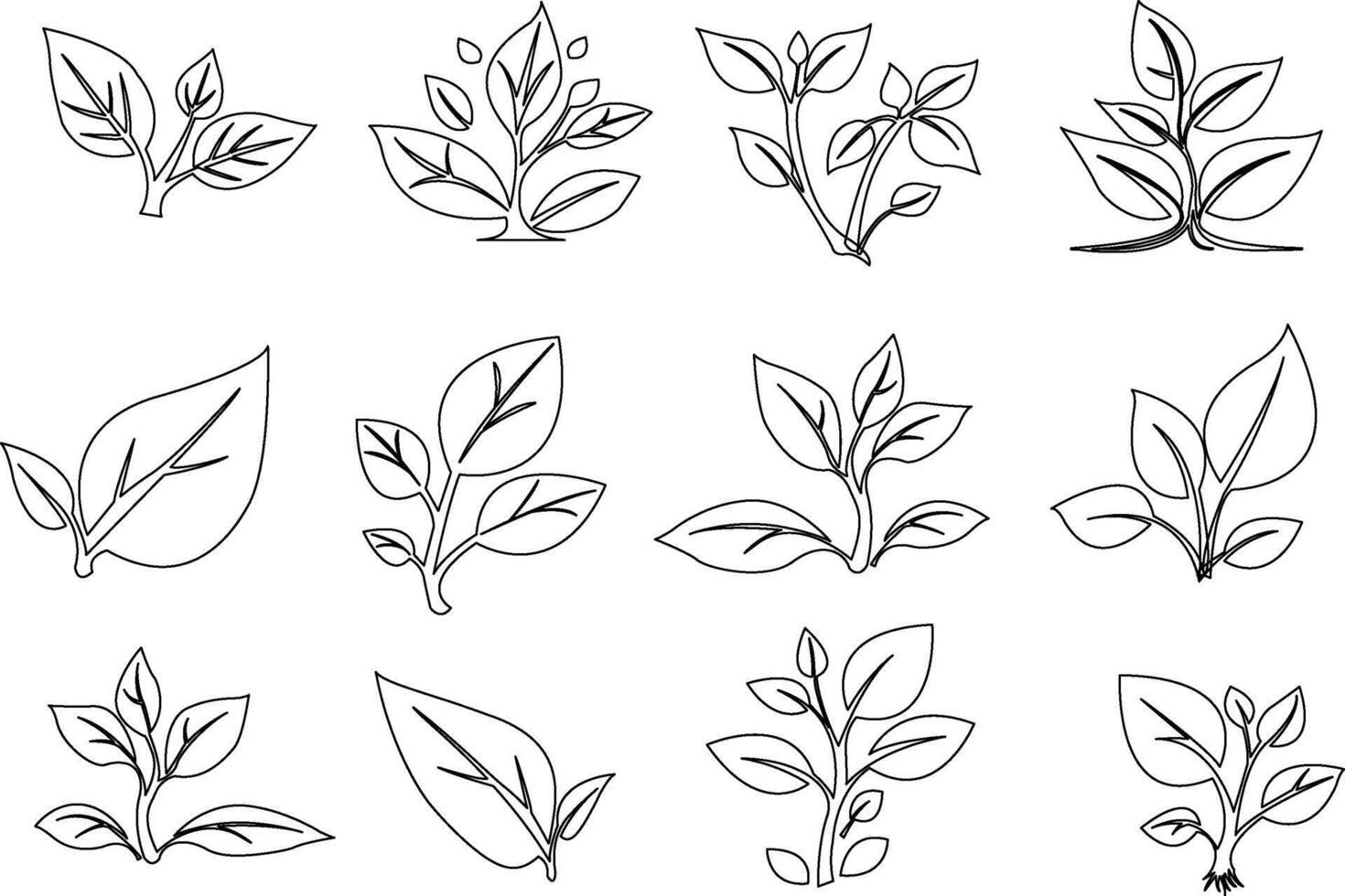 Elegant illustration of various leaf designs showcasing plant diversity and delicate outlines for nature-inspired projects vector
