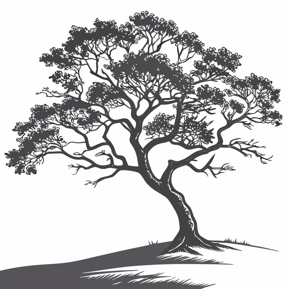 Professional Grayscale Windswept Tree Illustration High Resolution Nature Art. vector