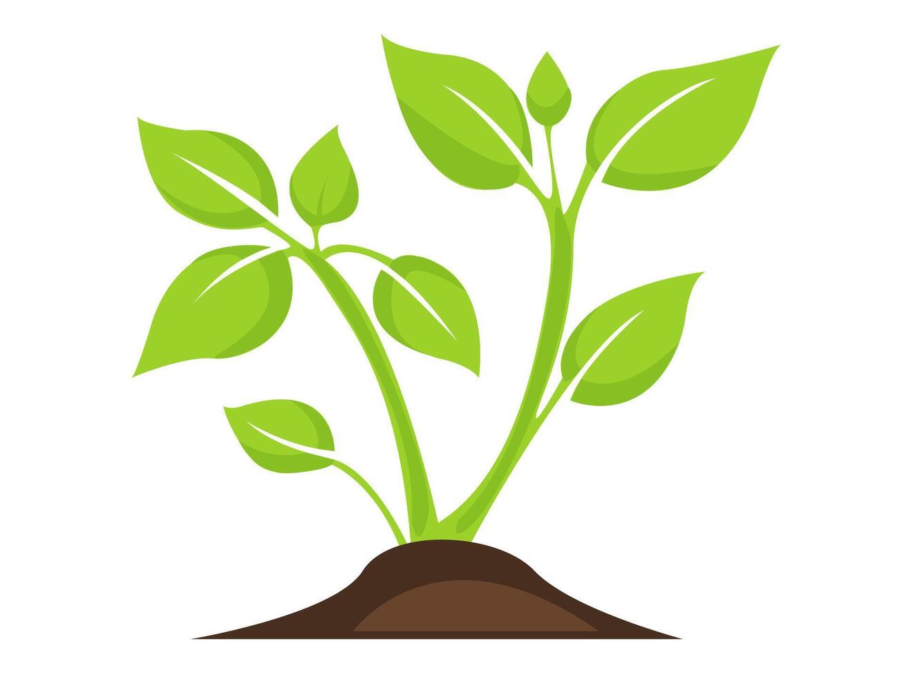 Growing green plants in soil showcasing healthy foliage and new buds in a simple illustration of nature s beauty vector