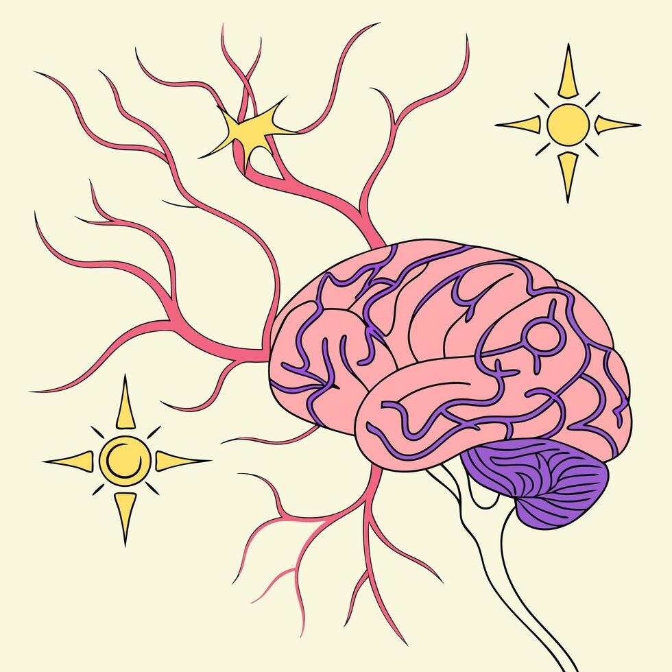 Stylized Human Brain Illustration Pink, Purple, Neurological Pathways. vector