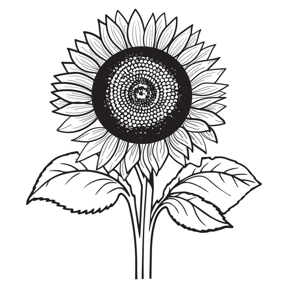 Sunflower Coloring Pages for kids Exquisite Sunflower Bouquet Line Art for Adding a Personal Creative Touch to Your Projects. vector