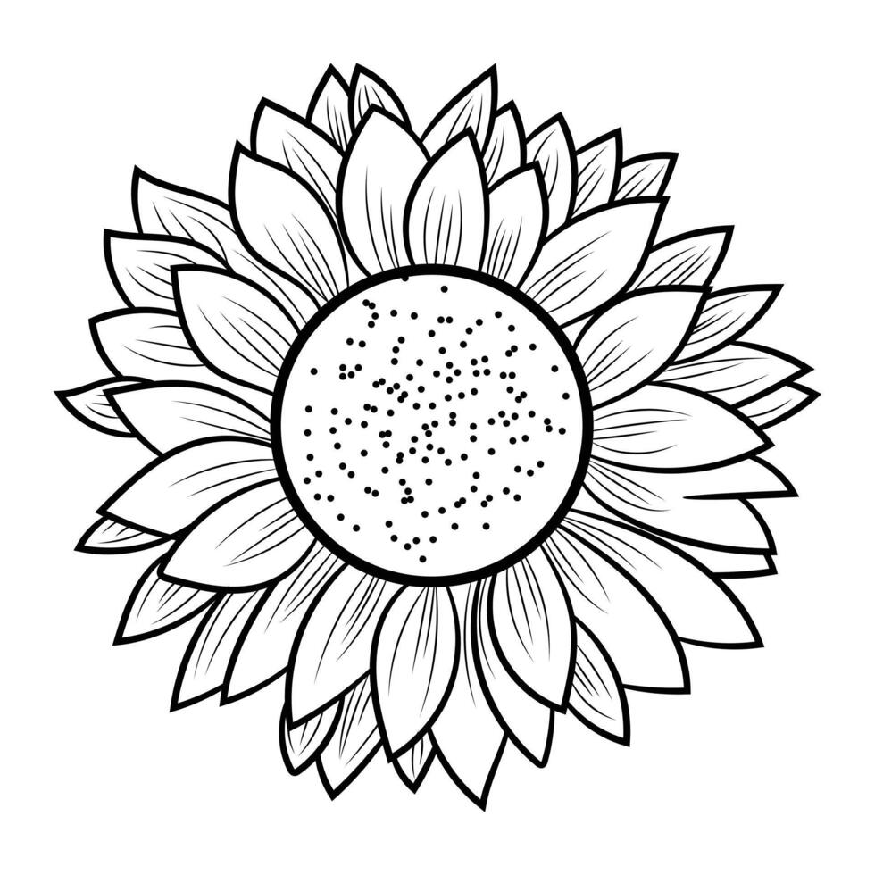 Sunflower Coloring Pages Unique Sunflower Bouquet Designs to Color and Celebrate Nature's Beauty in Your Own Style. vector
