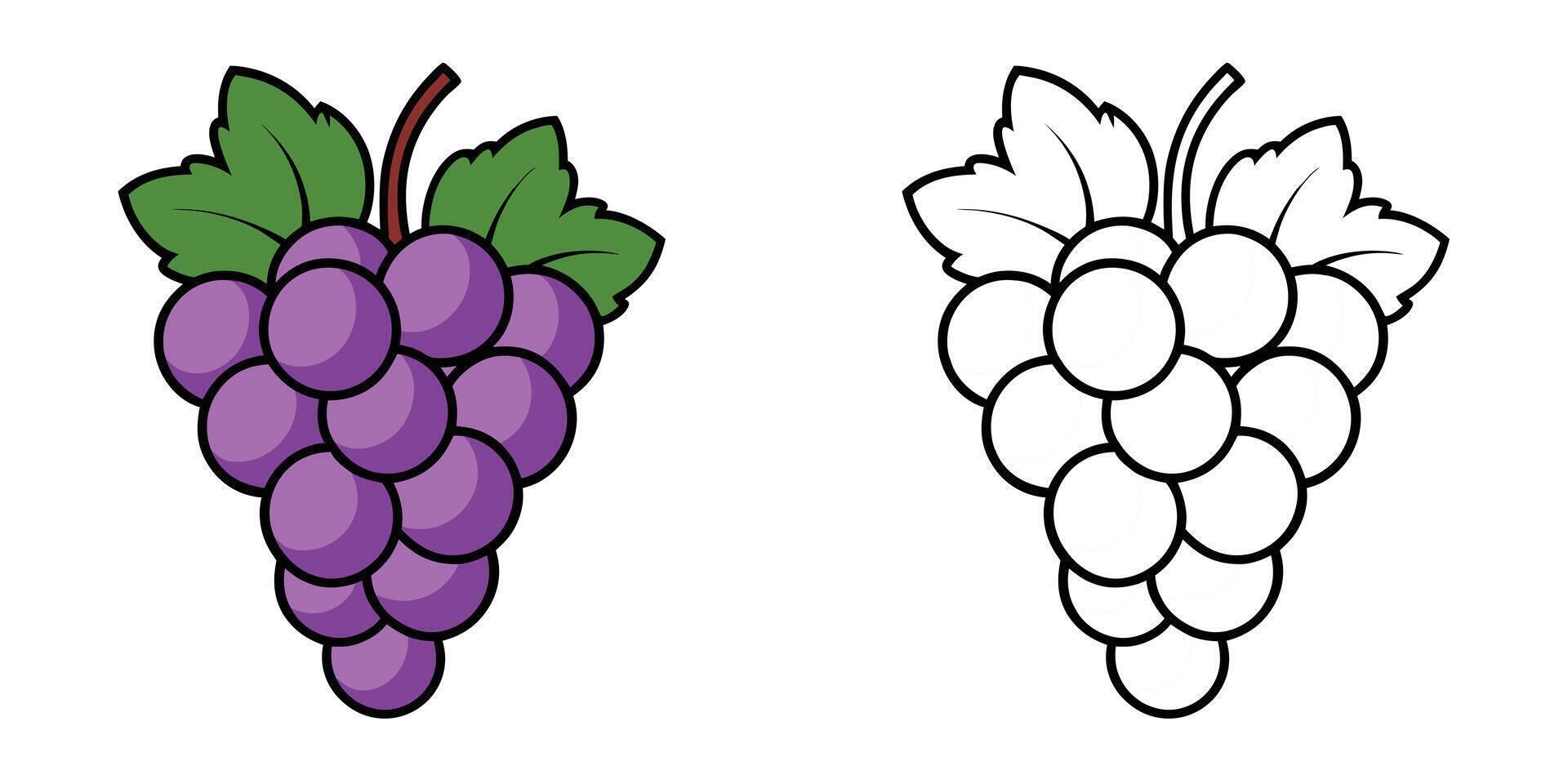 Grapes Fruit Coloring Book For Kids Printable vector