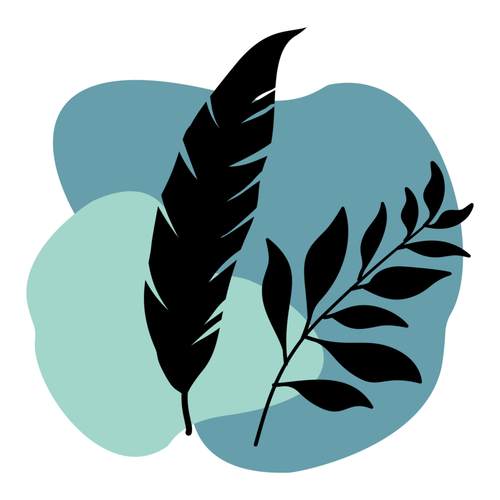 feathers and leaves on a boho style shapes png