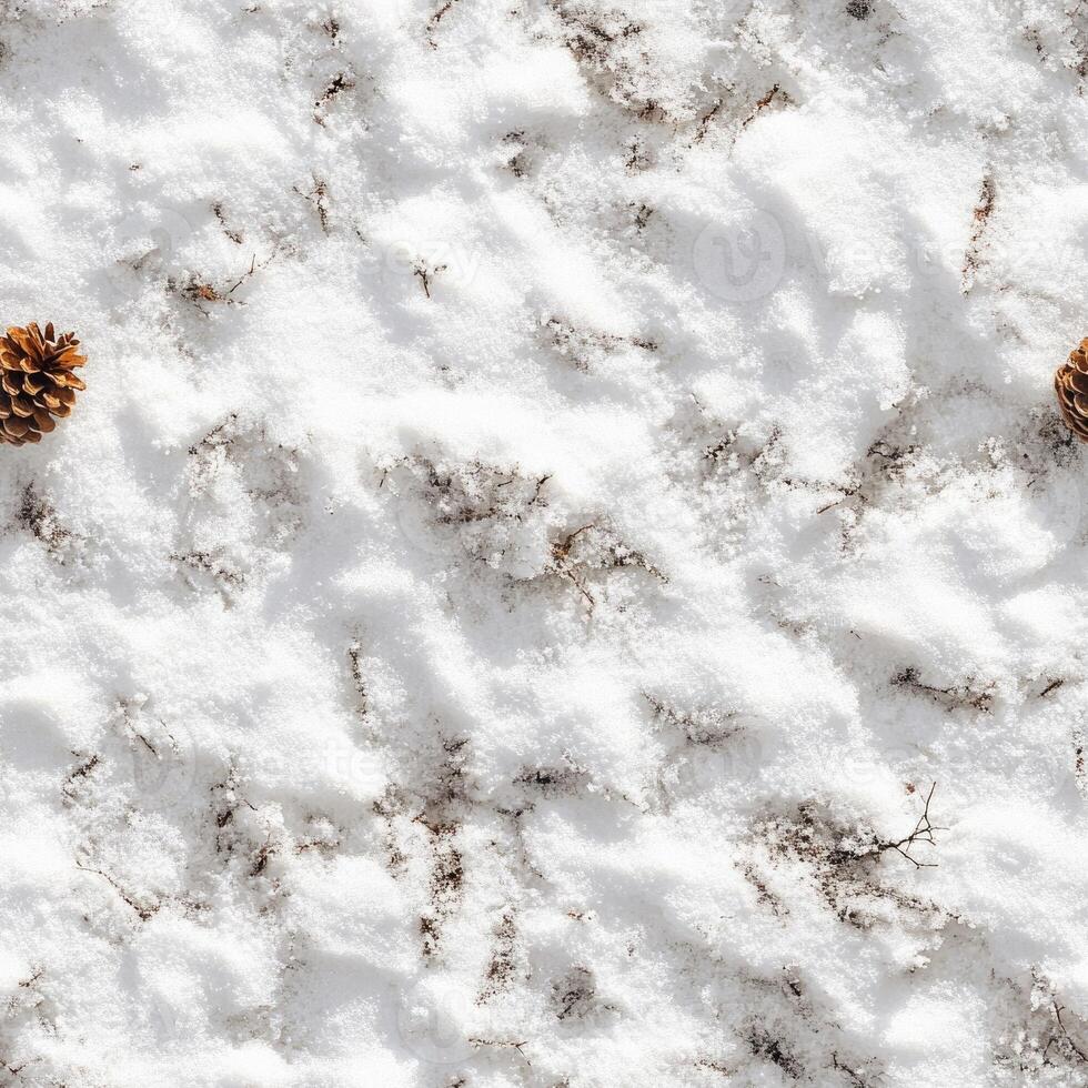 Top view photo of snow with a single pinecone resting, seamless texture