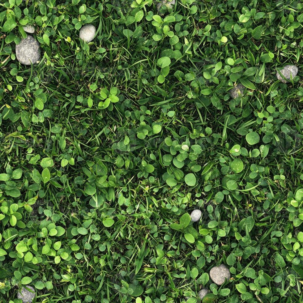 Top view photo of grass with scattered small pebbles, seamless texture