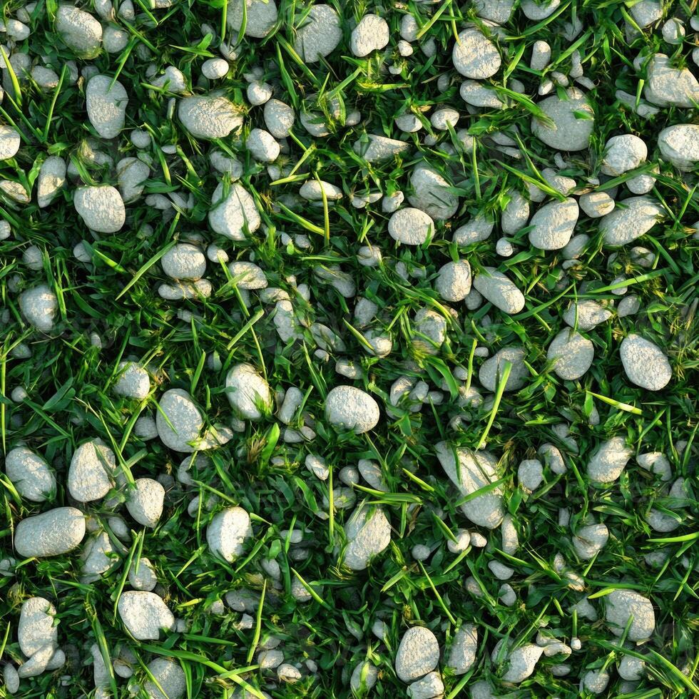 Top view photo of grass mixed with tiny white stones, seamless texture