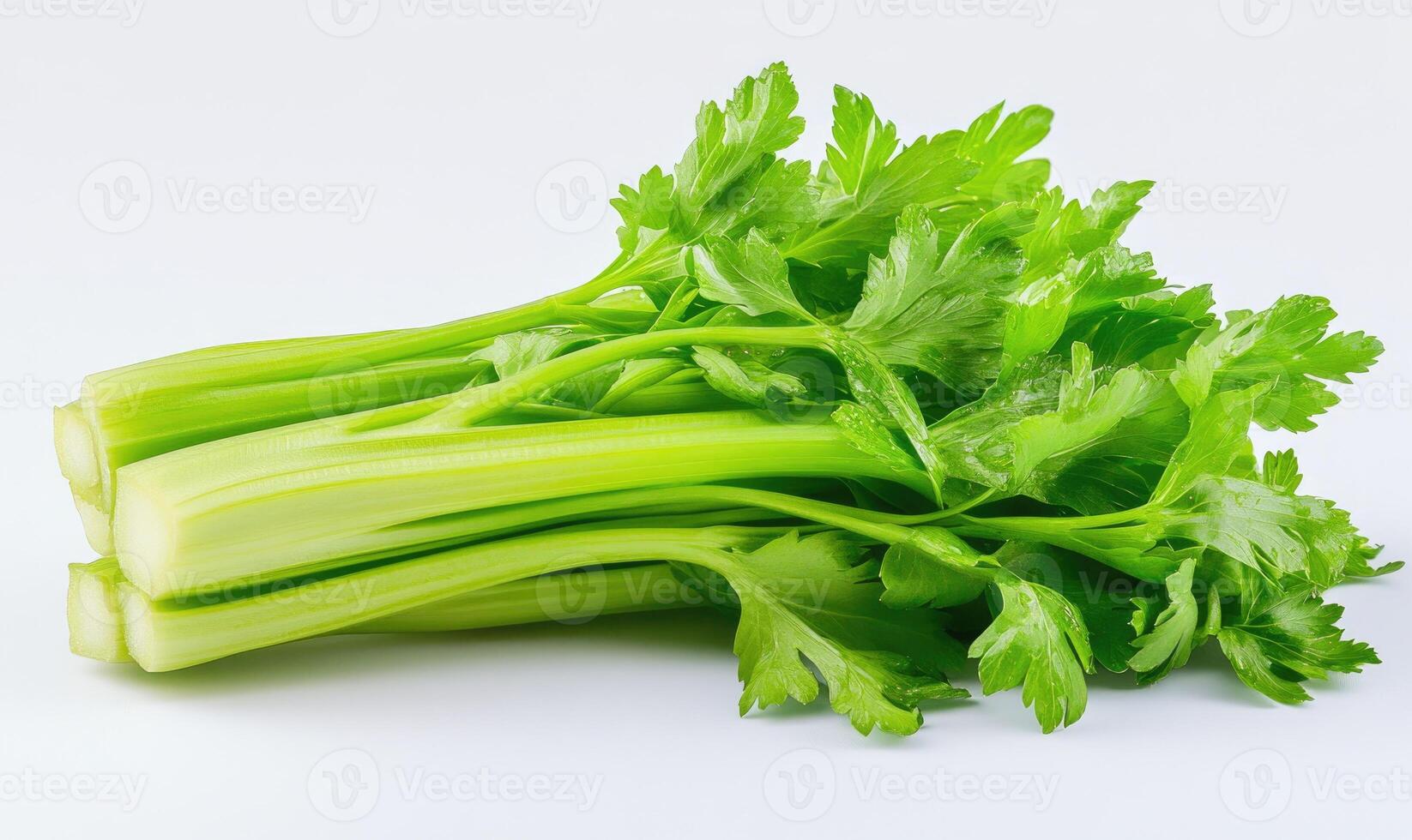 A bunch of green celery stalks photo