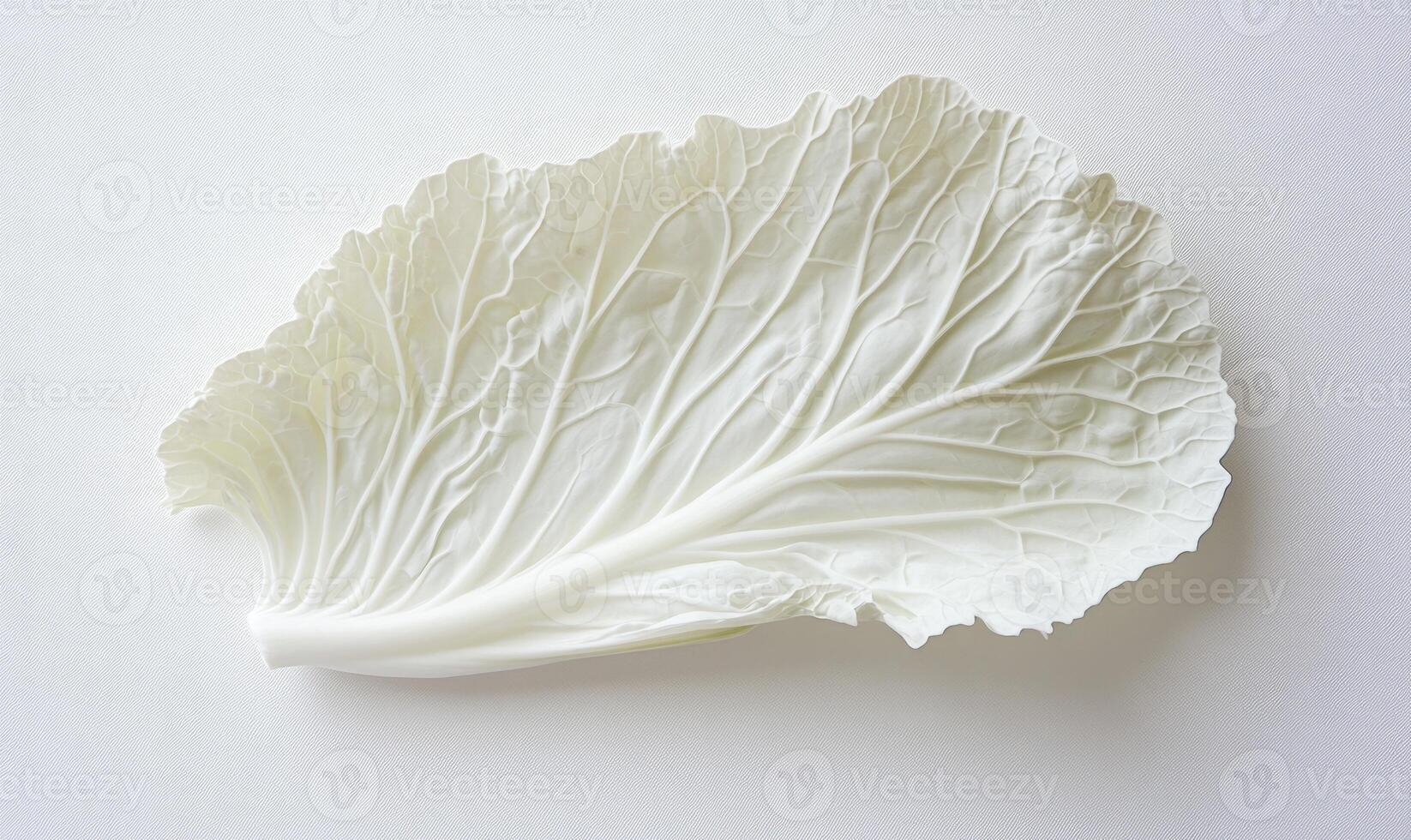 A white leafy vegetable photo