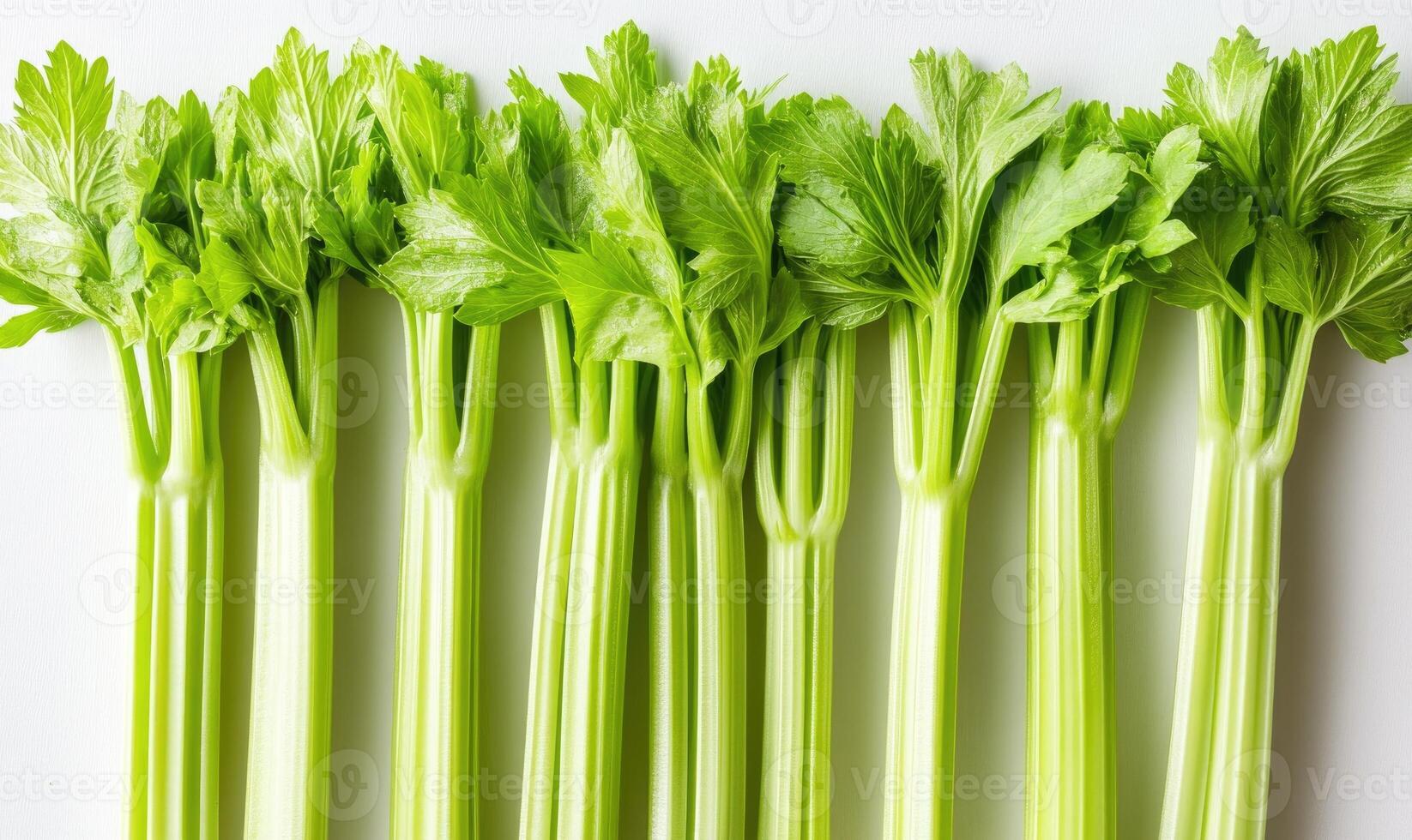 A bunch of celery stalks are lined up on a white surface photo