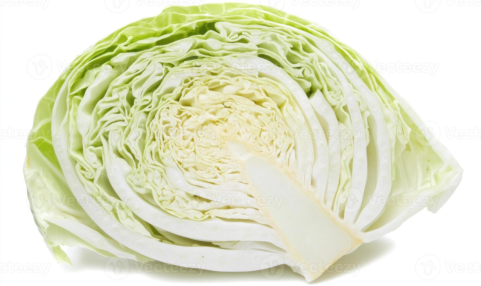 A piece of white cabbage with a white stem photo