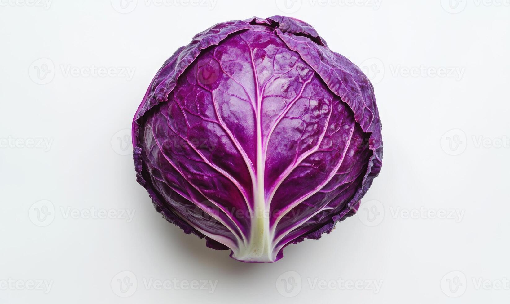 A purple cabbage is shown on a white background photo