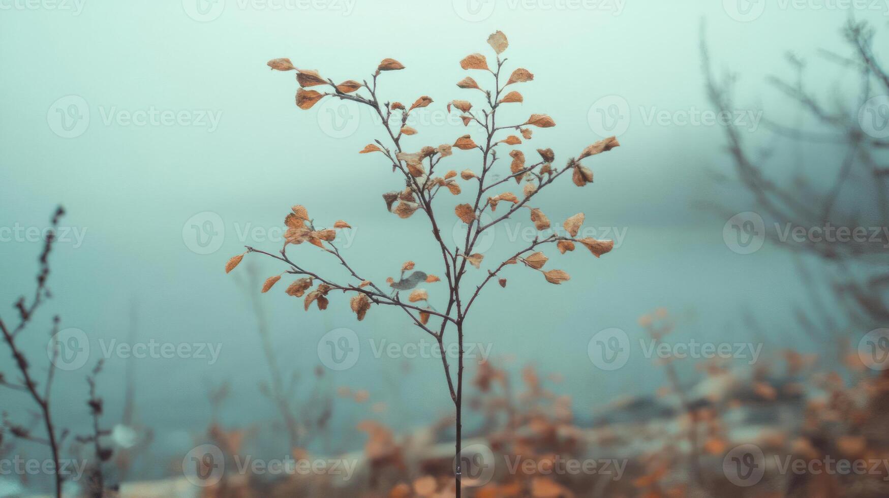 A serene autumnal scene featuring a lone, bare tree branch set against a soft, muted background photo