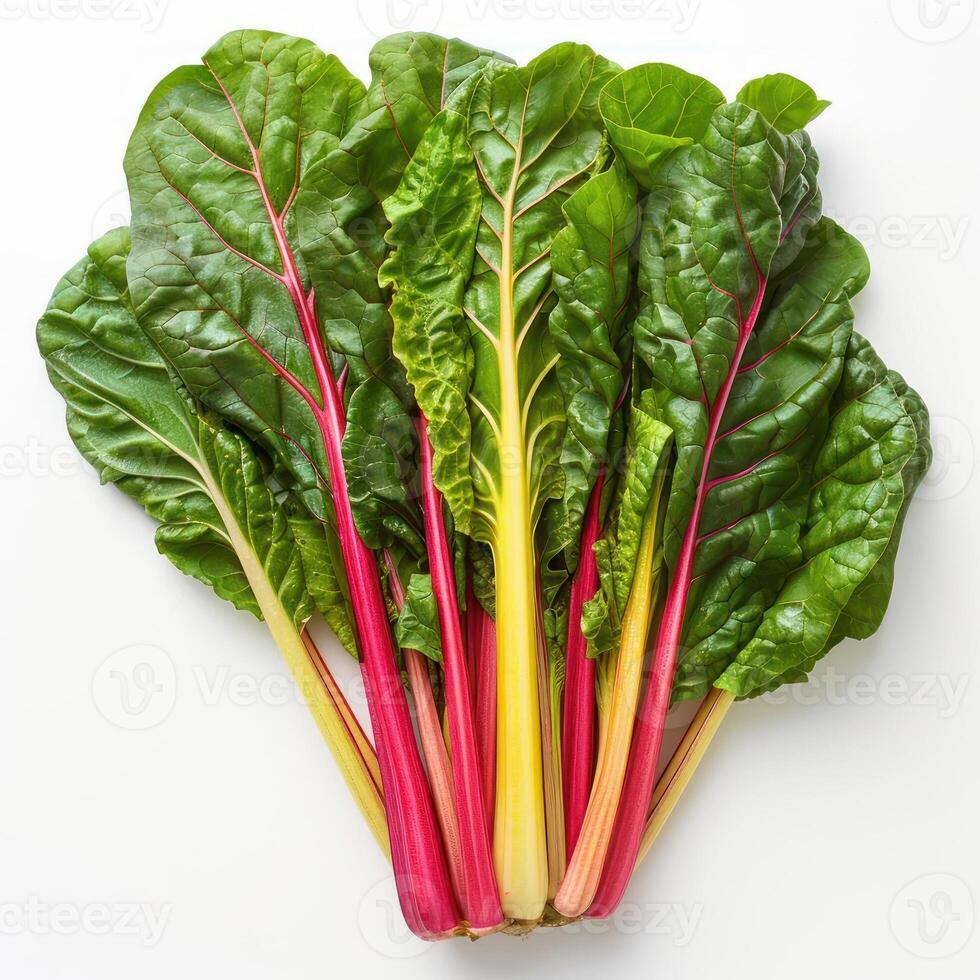A bunch of rhubarb stalks with green leaves photo