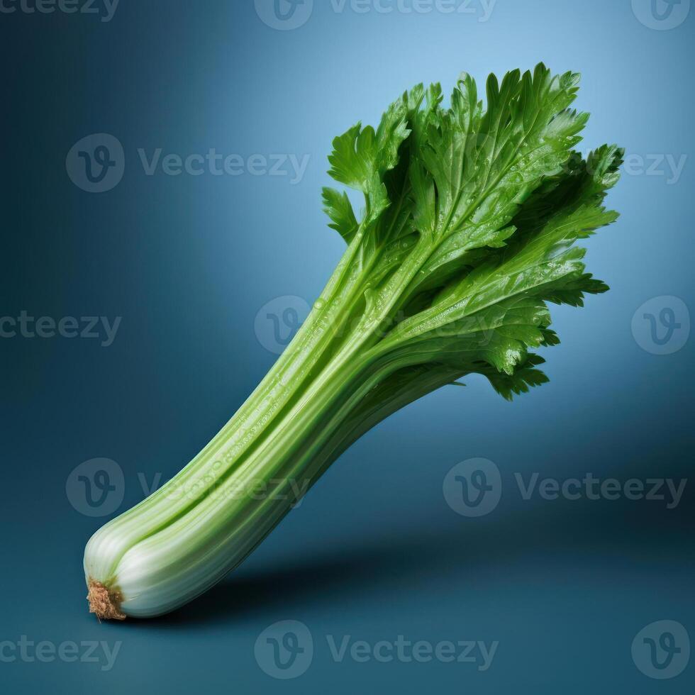 Green celery stalk with water droplets. photo