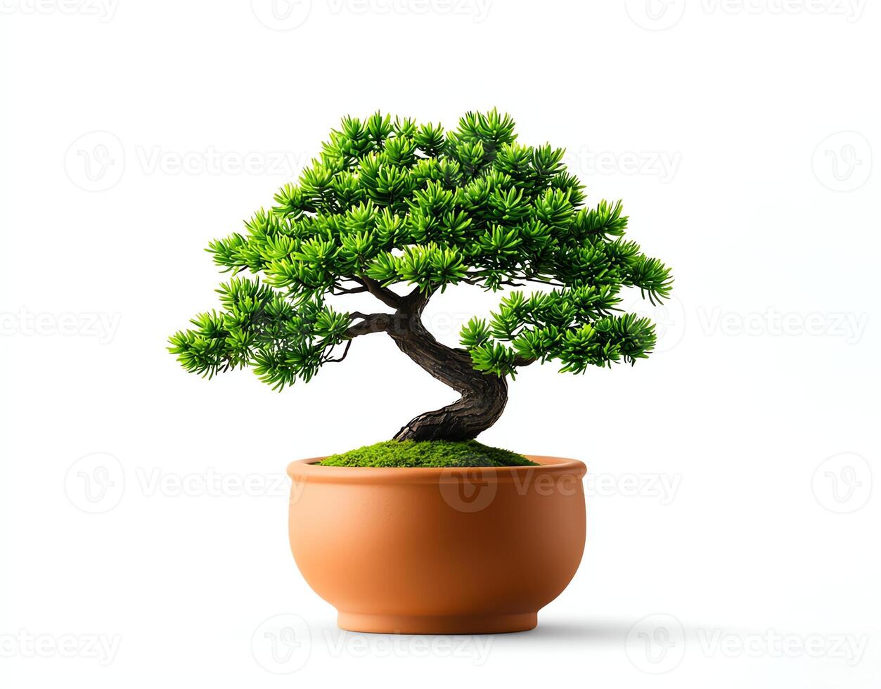 A beautifully styled bonsai tree in a terracotta pot, showcasing vibrant green leaves. This miniature tree represents art and nature's harmony, perfect for home decoration. photo