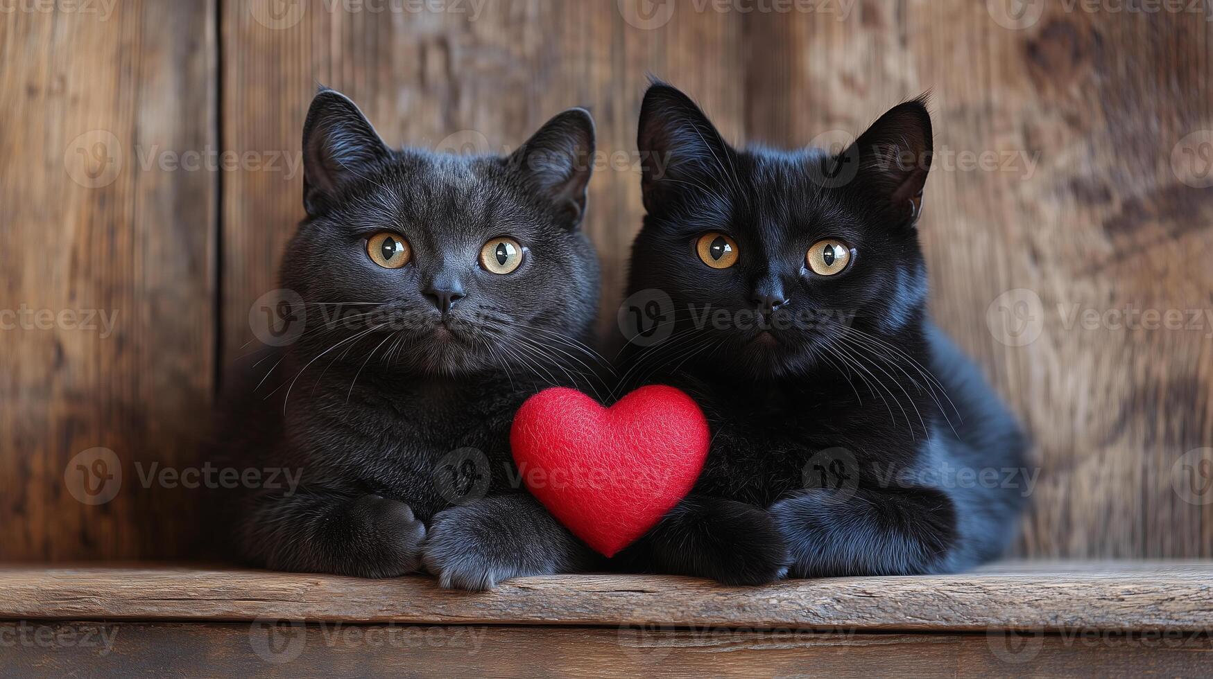 Two black cats sitting on a wooden table with a red heart photo