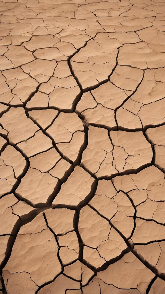 A high-detail image of cracked, dry soil, featuring organic, winding patterns formed by the lands dehydration. photo