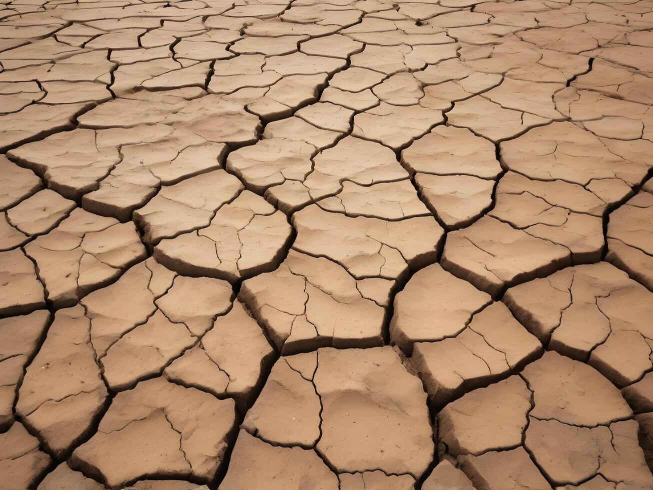 A highly detailed image of cracked soil, emphasizing the beautiful, organic patterns that emerge from dryness. photo