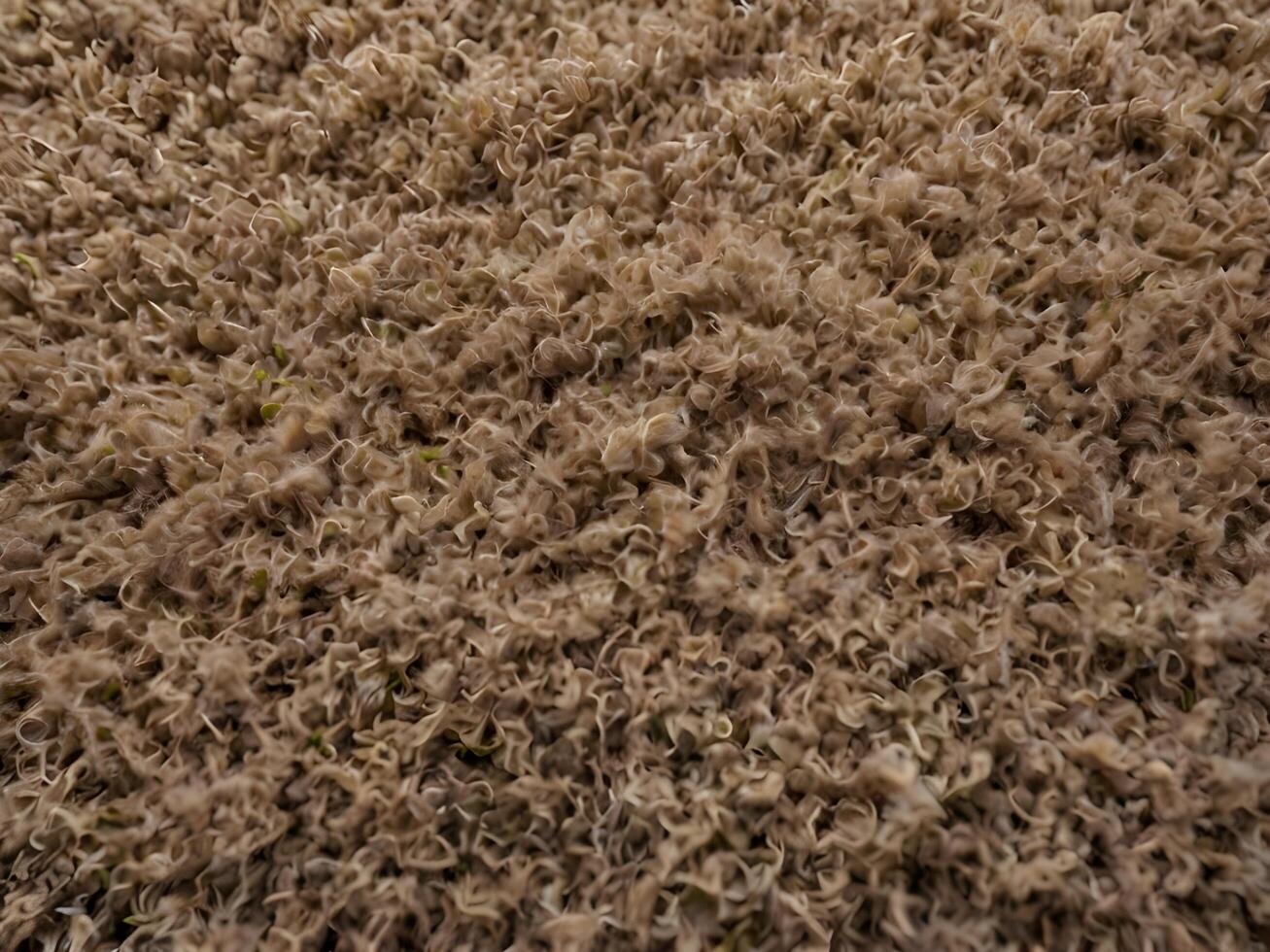 A macro of an old, frayed carpet with soft fabric textures. photo