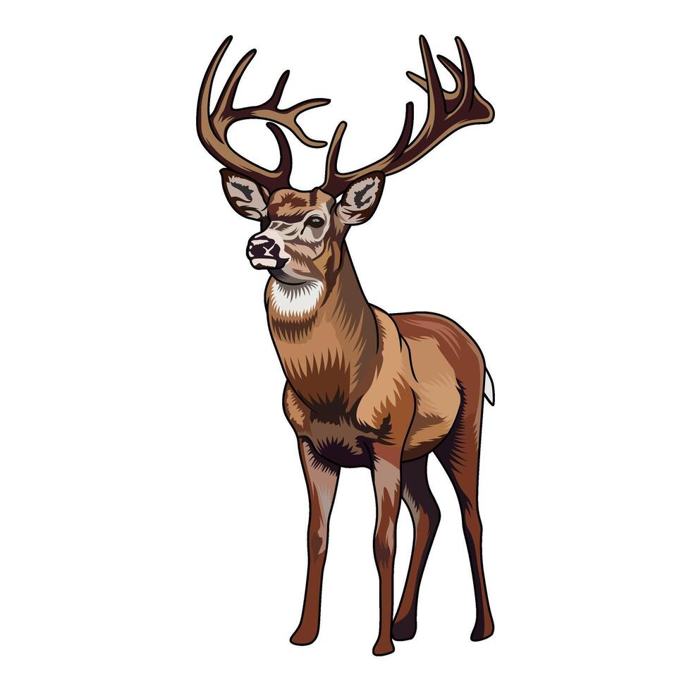 the deer is standing observing its surroundings hunting illustration logo image t shirt vector