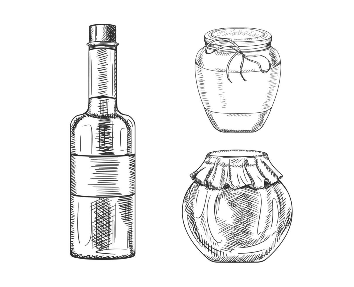 set illustration transparent glass jar sauces, spices, preservation. Kitchen utensils, tools, dishes. Retro old cutlery. Hand drawn illustration in line art in black ink, isolated background vector