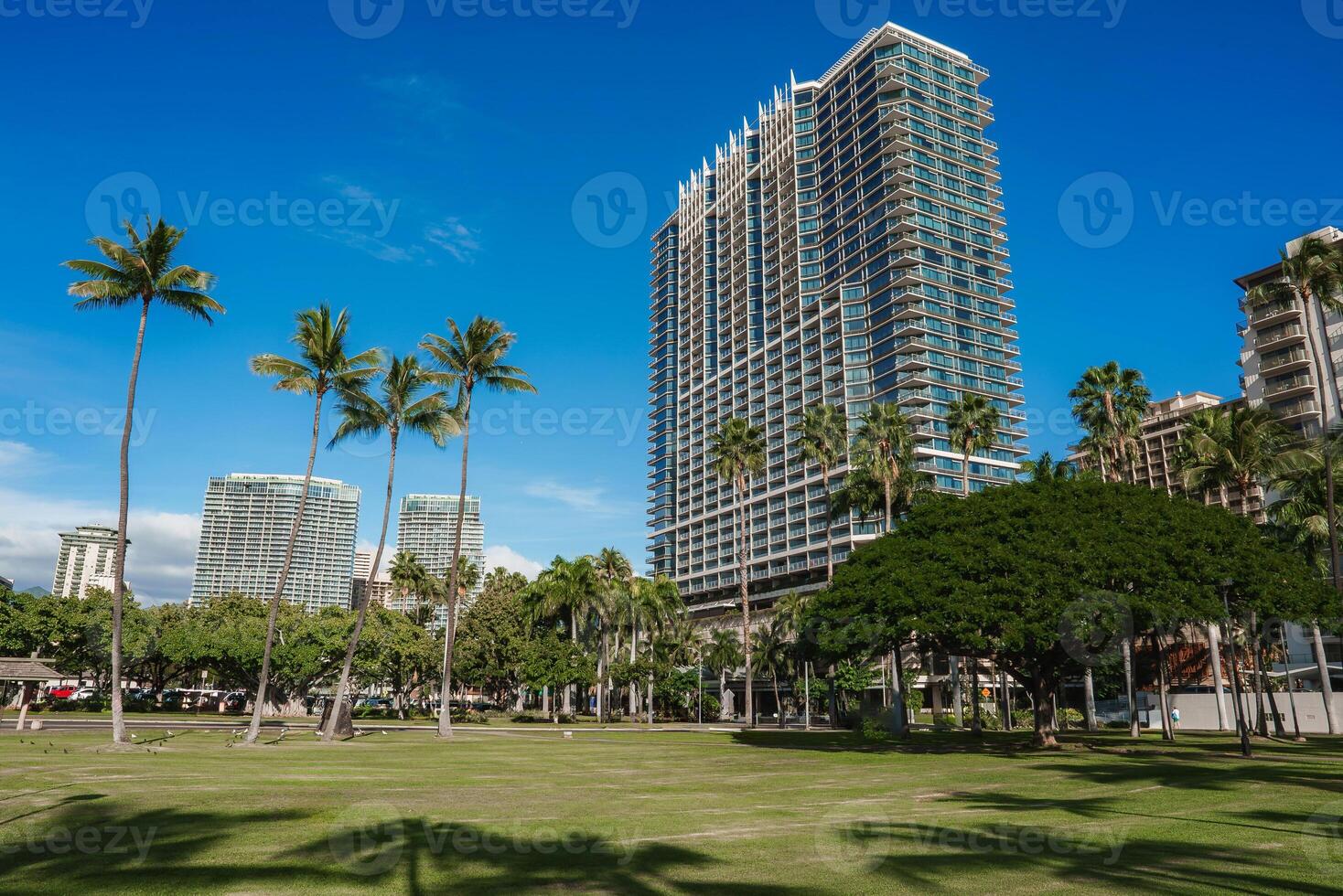 A green park with tall palm trees in the foreground, modern high rise buildings in the background, and a clear blue sky in Honolulu, Hawaii. photo