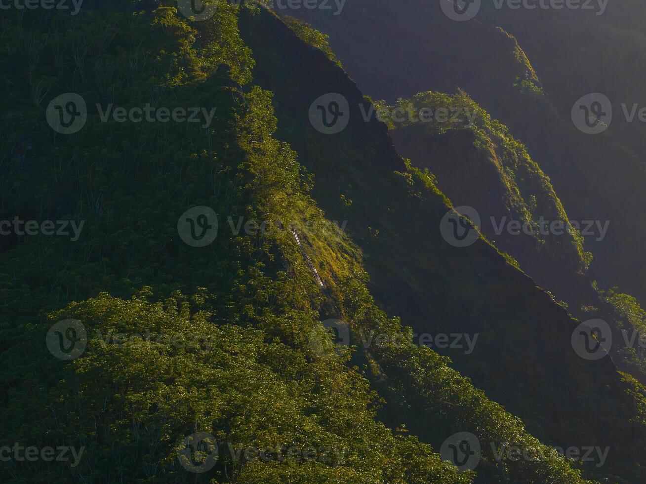 A steep, jagged mountain ridge on Oahu Island, Hawaii, covered in dense vegetation. Layers of ridges recede into the background under soft sunlight. photo