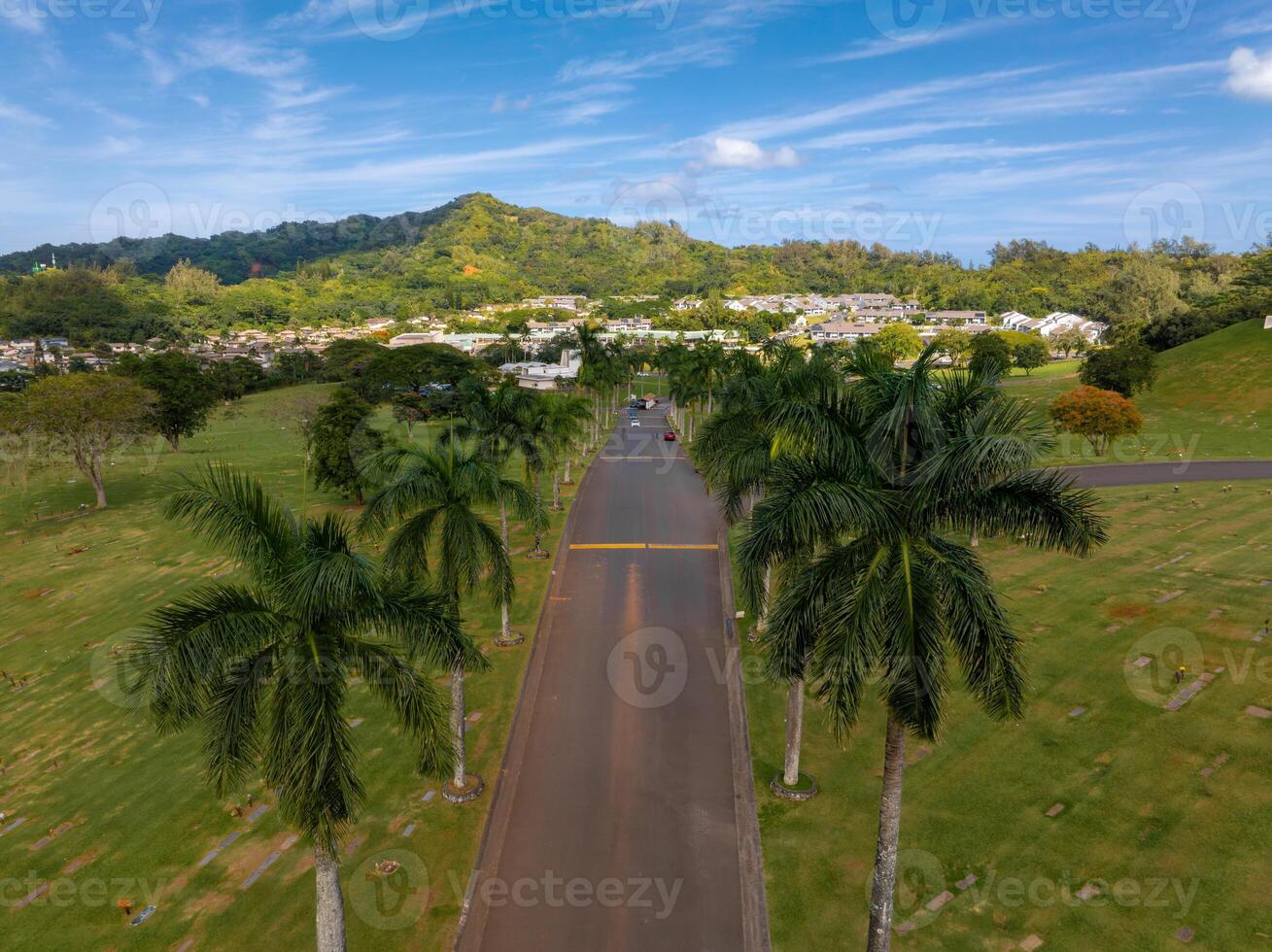 A serene road with tall palm trees leads to a cemetery surrounded by lush greenery, with a residential area and verdant hills in the background. photo