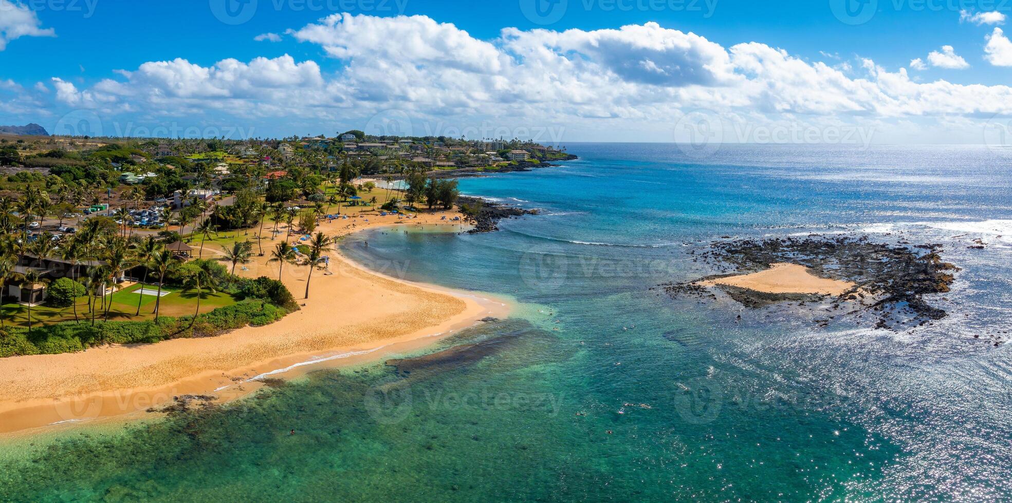 Aerial view of a Kauai beach in Hawaii featuring golden sand, turquoise waters, lush greenery, scattered palm trees, and a rocky outcrop under a blue sky. photo
