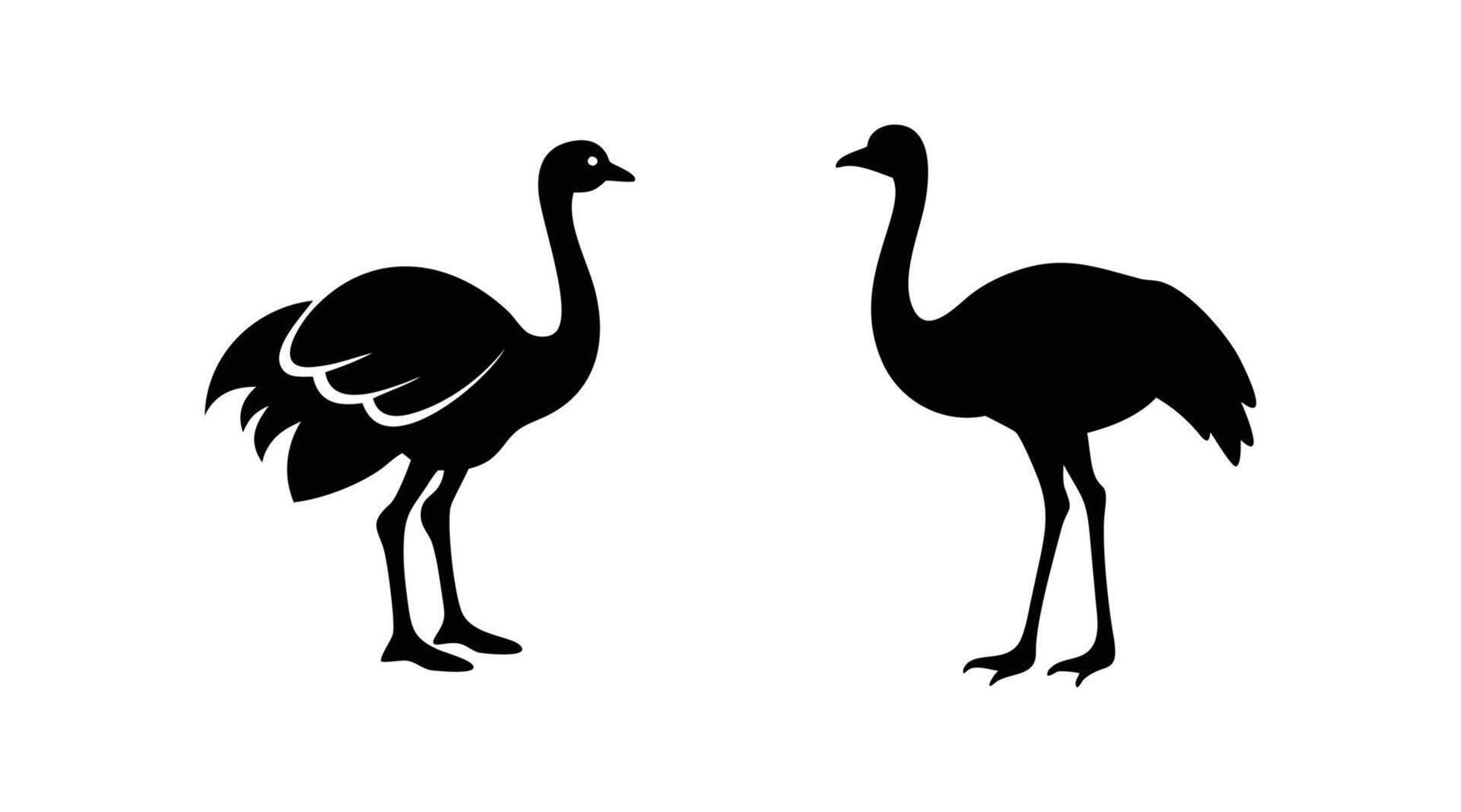 Ostrich silhouette illustration vector